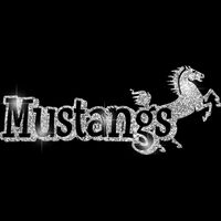 GLT17 SILVER GLITTER Thumbnail