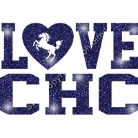 GLT51 BLUE GLITTER Thumbnail